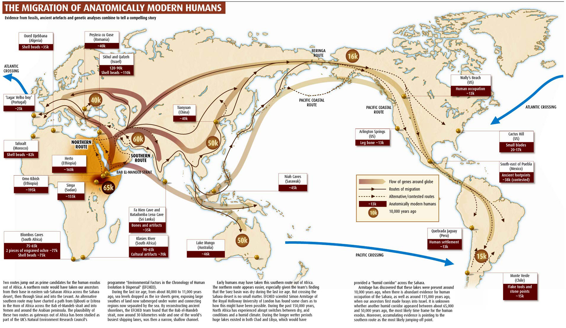 Anatomically Modern Humans